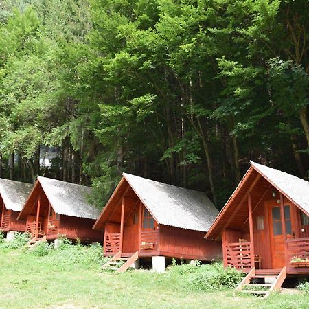 Cabanute Si Camping Dracula Capatineni-Paminteni المظهر الخارجي الصورة