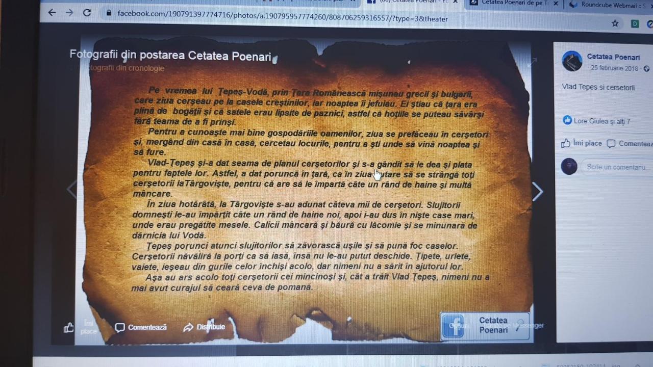 Cabanute Si Camping Dracula Capatineni-Paminteni المظهر الخارجي الصورة