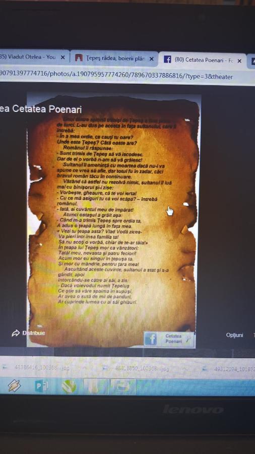 Cabanute Si Camping Dracula Capatineni-Paminteni المظهر الخارجي الصورة