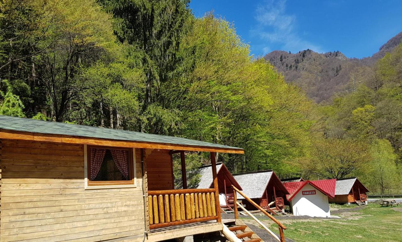 Cabanute Si Camping Dracula Capatineni-Paminteni المظهر الخارجي الصورة